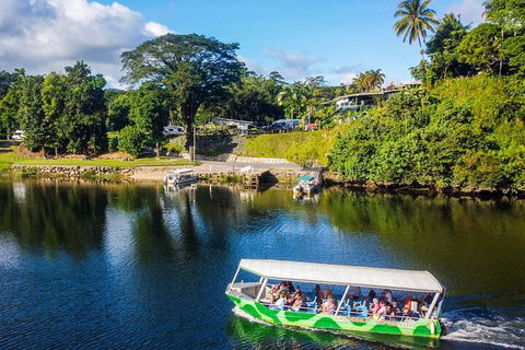 Afternoon Half-Day Daintree Rainforest And River Tour - Pubs Adelaide 1