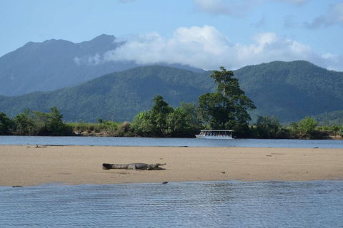 Afternoon Half-Day Daintree Rainforest And River Tour - Pubs Adelaide 2