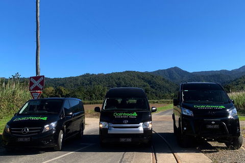 Afternoon Half-Day Daintree Rainforest And River Tour - Pubs Adelaide 4