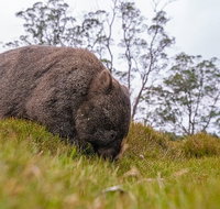 3-Day Cradle Mountain Photography Workshop - Pubs Adelaide
