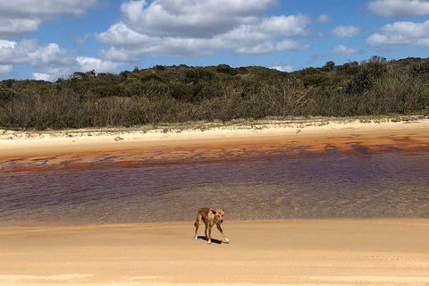 Pippies 3 Days 2 Nights Fraser Island Tour - Pubs Adelaide 2