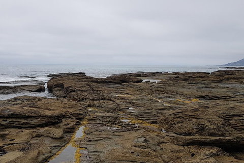 Luxury Private Great Ocean Road Tour Up To 11 People - Entire Vehicle - Pubs Adelaide 1