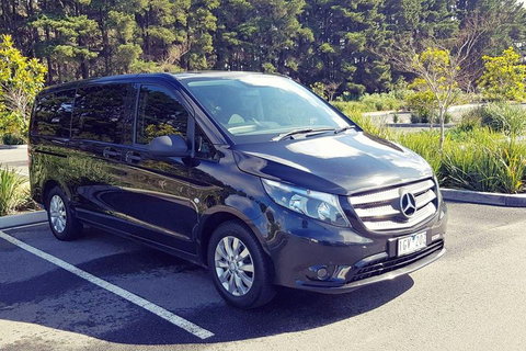 Luxury Private Great Ocean Road Tour Up To 11 People - Entire Vehicle - Pubs Adelaide 3