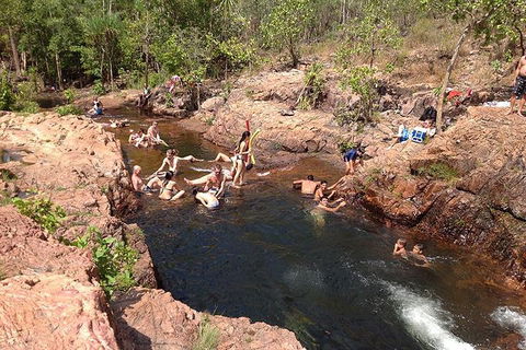 Litchfield National Park And Jumping Crocodile Cruise - Pubs Adelaide 5