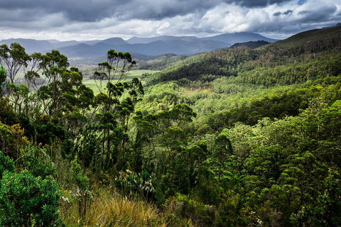 5-Day Lap Of Tasmania Tour From Hobart (flexible Ticket) - Pubs Adelaide 2