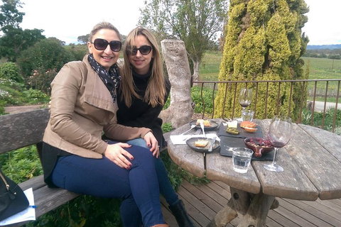 McLaren Vale Intimate Winery Tour By Private Limo - Pubs Adelaide 4