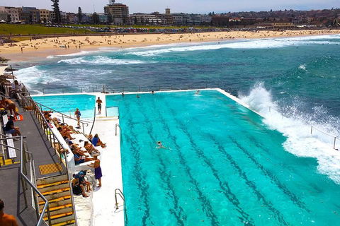 Private Sydney Half Day Tour Including Sydney Opera House And Bondi Beach - Pubs Adelaide 1