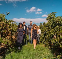 Barossa Valley Private Tour from 2 to 11 people - Pubs Adelaide