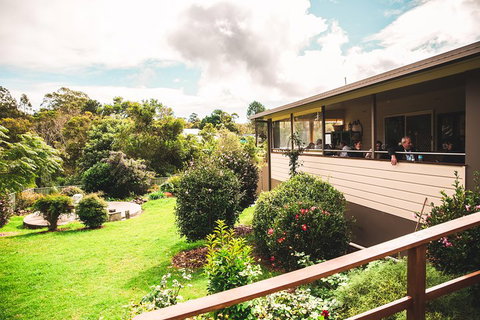 Full-day Springbrook National Park Tour From The Gold Coast - Pubs Adelaide 2