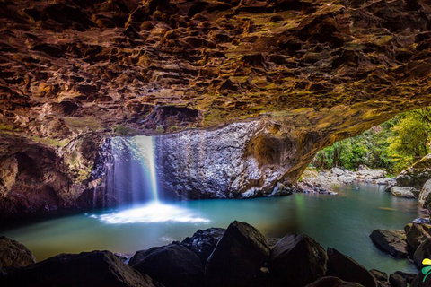 Full-day Springbrook National Park Tour From The Gold Coast - Pubs Adelaide 3