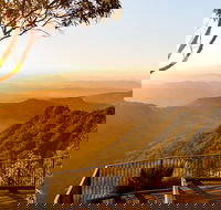 O'Reilly's  Lamington National Park incl. Alpaca Farm  Vineyard - Pubs Adelaide