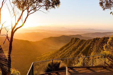 O'Reilly's & Lamington National Park Incl. Alpaca Farm + Vineyard - Pubs Adelaide 0