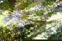 Fraser Island 4WD Tour from Noosa