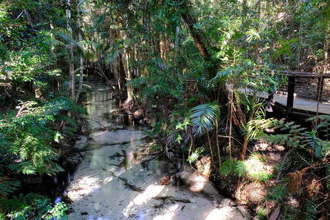 Fraser Island 4WD Tour From Rainbow Beach - Pubs Adelaide 0
