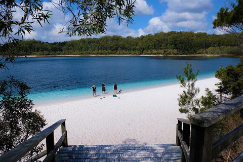 Fraser Island 4WD Tour From Rainbow Beach - Pubs Adelaide 3