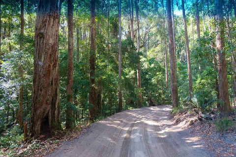 Fraser Island 4WD Tour From Rainbow Beach - Pubs Adelaide 4