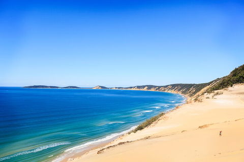 Kayak With Dolphins And 4WD Great Beach Drive Day Trip From Noosa - Pubs Adelaide 0