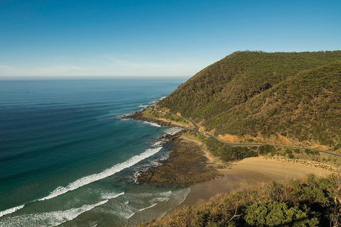 Great Ocean Road Adventure - Private Tour - Reverse - Pubs Adelaide 2