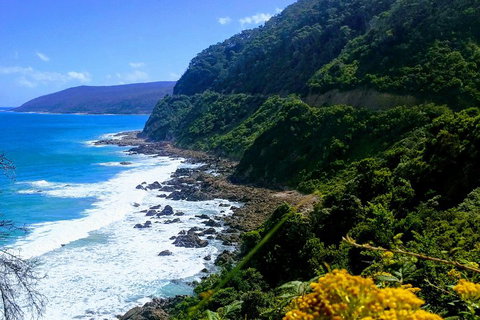 Great Ocean Road Adventure - Private Tour - Reverse - Pubs Adelaide 3