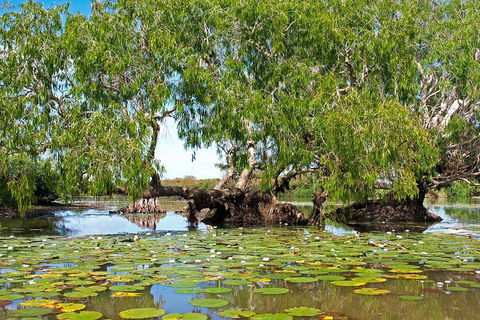 Ethical Adventures - Best In The WET - Litchfield / Kakadu 3 Day- Max 10 Guests - Pubs Adelaide 1