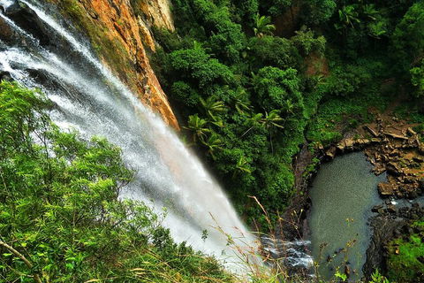 Rainforest & Waterfalls Extravaganza - Pubs Adelaide 1