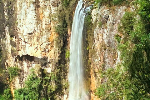 Natural Arch, Rainforest & Volcano Canyon - Private Half Day Tour - Pubs Adelaide 2
