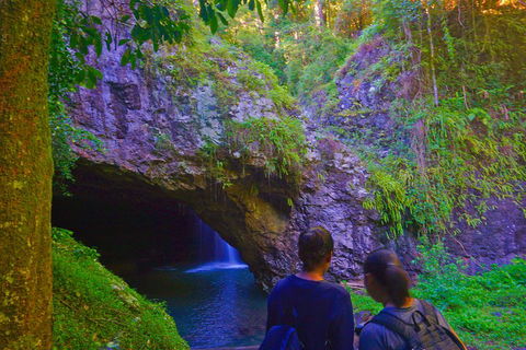 Natural Arch, Rainforest & Volcano Canyon - Private Half Day Tour - Pubs Adelaide 4