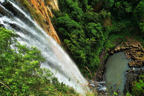 Natural Arch, Rainforest & Volcano Canyon - Private Half Day Tour - Pubs Adelaide 5