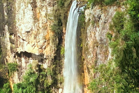 Private Tour - Rainforest & Waterfalls Extravaganza - Pubs Adelaide 0
