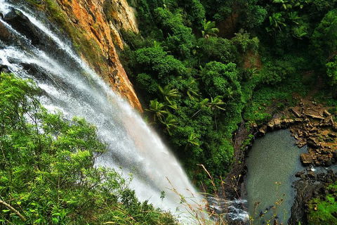 Private Tour - Rainforest & Waterfalls Extravaganza - Pubs Adelaide 2