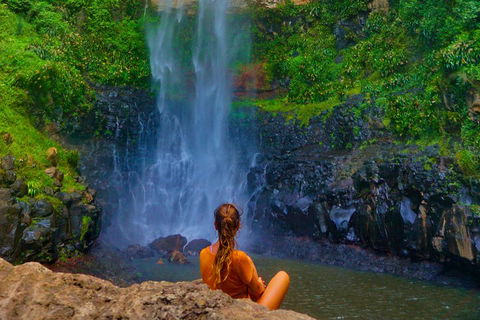 Private Tour - Rainforest & Waterfalls Extravaganza - Pubs Adelaide 3