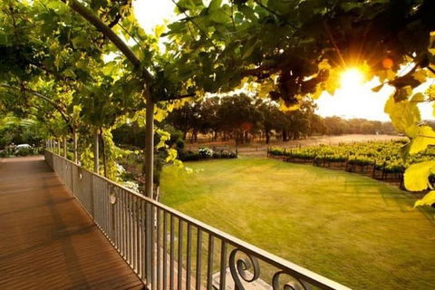 Busselton Jetty + Train Ride + Winery + Scenic Drive Full Day Tour - Pubs Adelaide 1