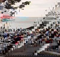 Phillip Island and French Island Wildlife Expedition - Pubs Adelaide