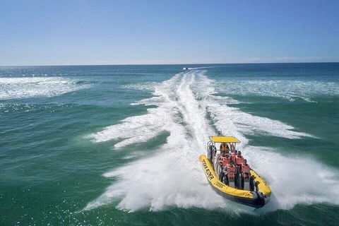 Noosa Oceanrider - Adventure Tour - Pubs Adelaide 2