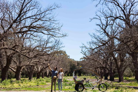 Adelaide 90-Minute Pedicab Tour: Scenic Green & River Experience - Pubs Adelaide 1