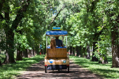 Adelaide 90-Minute Pedicab Tour: Scenic Green & River Experience - Pubs Adelaide 2