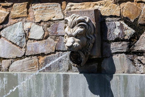 Adelaide 90-Minute Pedicab Tour: Scenic Green & River Experience - Pubs Adelaide 3