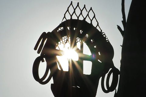 Wave Rock, Wild Flowers And Astro Photography - Pubs Adelaide 4