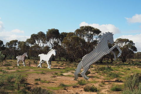 Wave Rock, Wild Flowers And Astro Photography - Pubs Adelaide 5