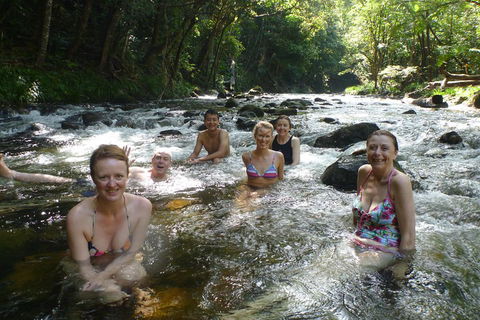 Daintree Rainforest, Cape Tribulation, Mossman Gorge Small-Group Day Tour - Pubs Adelaide 0