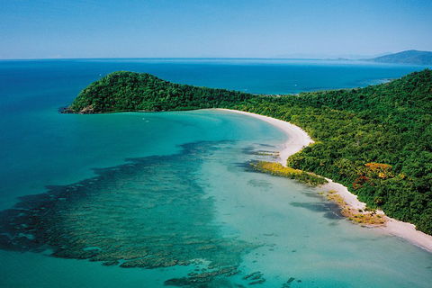 Daintree Rainforest, Cape Tribulation, Mossman Gorge Small-Group Day Tour - Pubs Adelaide 4