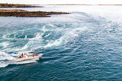 Giant Tides Tour - Cygnet Bay Pearl Farm - Pubs Adelaide 4