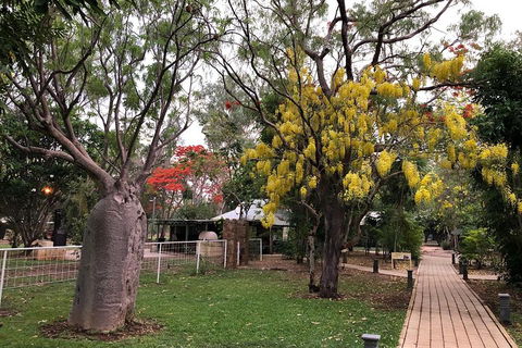 Wet Season Mitchell Falls Tour - Mitchell Falls, Horizontal Falls & Cygnet Bay - Pubs Adelaide 1