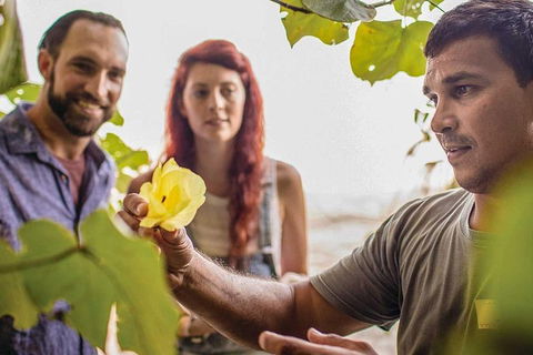 Ngana Julaymba Dungay - Full Day - Pubs Adelaide 4