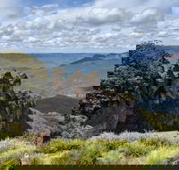 Blue Mountains Private Tour - wild kangaroos waterfalls and The Three Sisters - Pubs Adelaide
