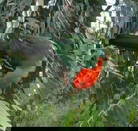 3-Day Private Adelaide to Melbourne tour - Pubs Adelaide