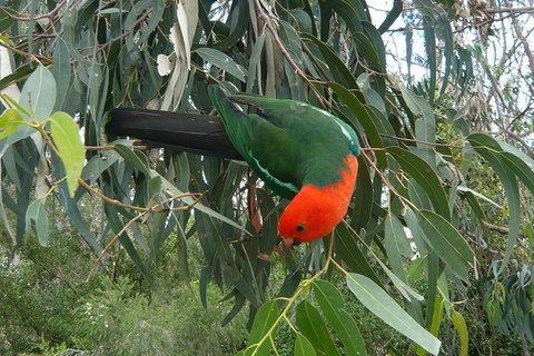 3-Day Private Adelaide To Melbourne Tour - Pubs Adelaide 0