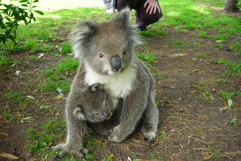 3-Day Private Adelaide To Melbourne Tour - Pubs Adelaide 5