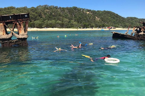 All Inclusive Dolphin And Tangalooma Wrecks Cruise - Pubs Adelaide 0