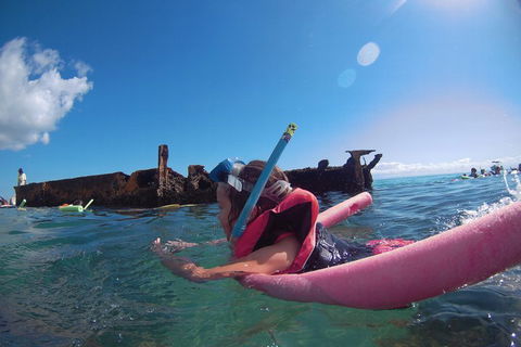 All Inclusive Dolphin And Tangalooma Wrecks Cruise - Pubs Adelaide 2